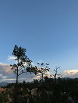 856E1CAD-3EA7-4FCD-A67A-DD50BEB94502