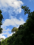 6D6B5747-11C5-43CE-8E55-FC5127B339E6
