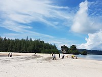 B9B0D822-DD86-4FAC-A750-BB4219117DCB