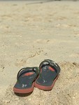 3D423248-EBB0-4CC6-A7B4-47B80E750CF3