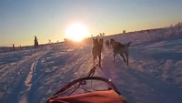 Husky Safari deel 1