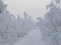 87C0F35B-7AF3-4687-AC70-186845C0645C