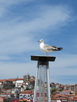 AF406D8E-E2C8-4BDD-9FEA-F264514338D3