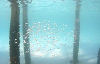 67F964B6-69FE-4F2A-96A3-2BE5E6D50542