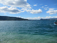 66F03796-B08C-41C0-856F-1AA79655D971
