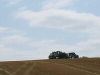 8489CCE3-4B2C-4056-8340-D28AD137E15D