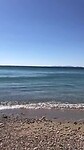 Beach life