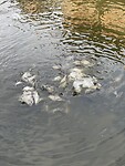 93600733-F1EE-43D6-9562-6CFEC8C02523