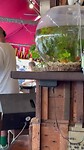 Chatuchak Weekend Market 2