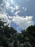 57B29406-16BD-4CF6-9B42-70FD96CD120A