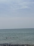 1F5EA8C2-FE67-4B6A-A095-FA9AB8238B38