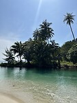 AFEA1875-E2F4-498D-AF69-AA1D728233BF