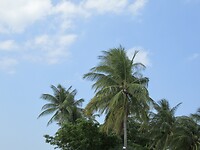 30DF8D6F-4F16-48DE-B6CE-AF0237D3C537