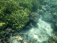 3C228048-0514-4872-B1D0-492DA3794382