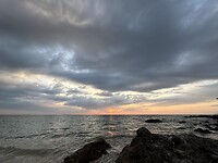 A89A59D4-5C16-456A-9895-82AD3EDFFF52