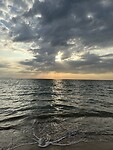 F05491FD-F8F2-4CB5-A7CD-44E3EC73CBF0