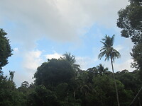 6E7736F4-3B3A-4316-8C51-9B7C425E8ED2
