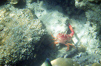 A9C639EE-88FA-4E3A-860F-34771BF3EA32