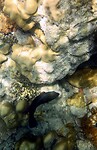 6F024125-F85C-4112-B6D9-3354ED415369