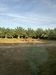 5D5FB170-D587-480F-8917-D6F469F1D2A8