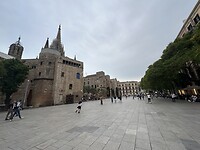 IMG_5084