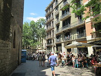 IMG_8623