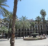 IMG_8621