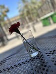 IMG_5050