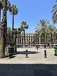 IMG_5049