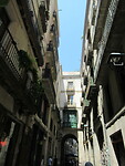 IMG_8617
