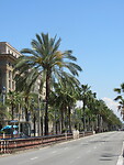 IMG_8608