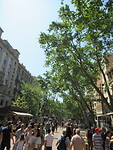 IMG_8605