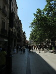 IMG_8603