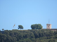 IMG_8665