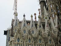 IMG_8755