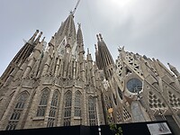 IMG_5215