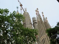 IMG_8752