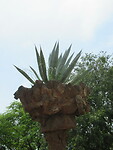 IMG_8706