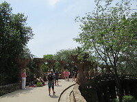 IMG_8705