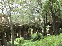 IMG_8704