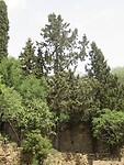 IMG_8703