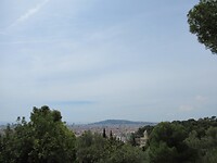 IMG_8699