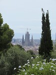 IMG_8698
