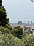 IMG_5164