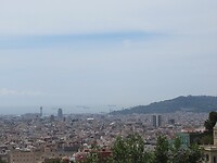 IMG_8696