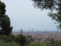 IMG_8694