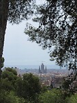 IMG_8690