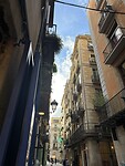 IMG_5362