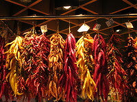 IMG_8813