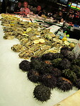 IMG_8810
